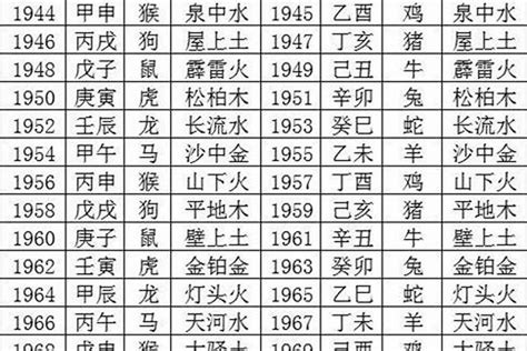 2029年五行|2029年是什么年